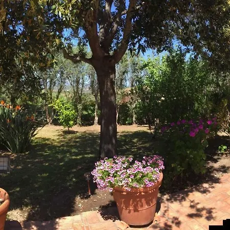 Bed & Breakfast Kate Porto San Paolo (Sardinia)